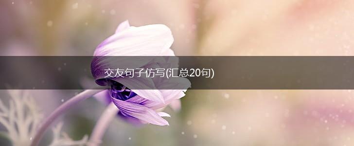 交友句子仿写(汇总20句),第1张