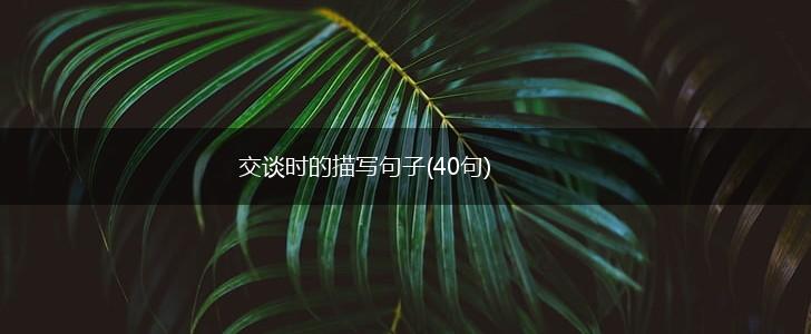 交谈时的描写句子(40句),第1张
