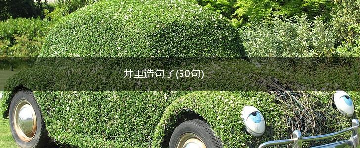 井里造句子(50句),第1张