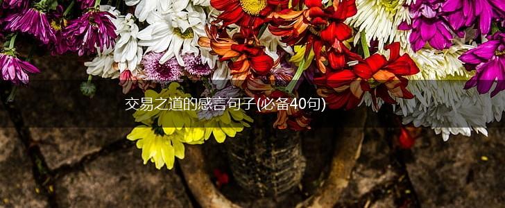 交易之道的感言句子(必备40句),第1张