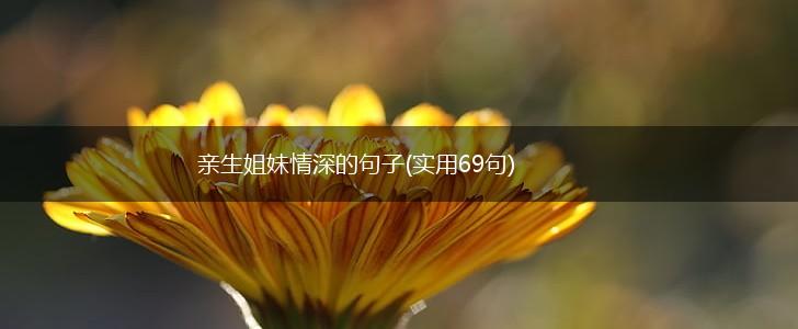 亲生姐妹情深的句子(实用69句),第1张