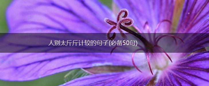 人别太斤斤计较的句子(必备50句),第1张