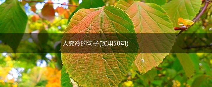 人变冷的句子(实用50句),第1张