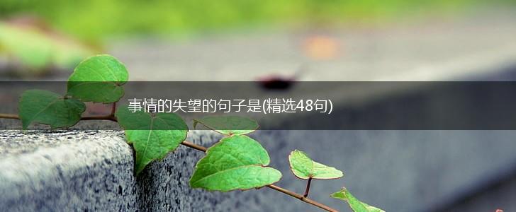 事情的失望的句子是(精选48句),第1张