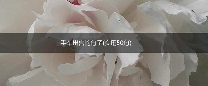 二手车出售的句子(实用50句),第1张