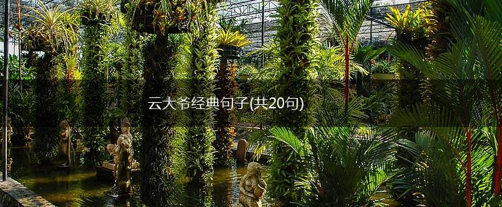 云大爷经典句子(共20句),第1张