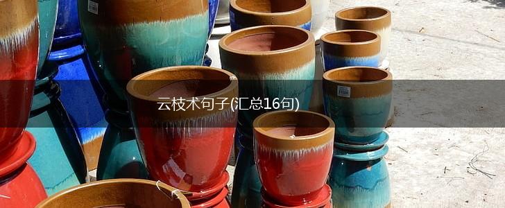 云枝术句子(汇总16句),第1张