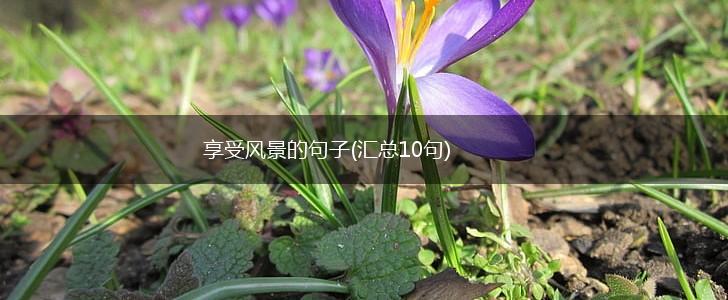 享受风景的句子(汇总10句),第1张