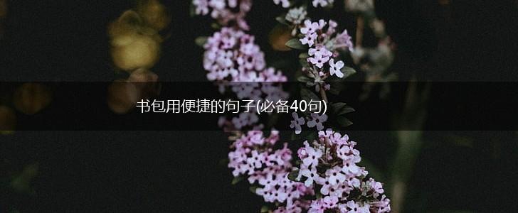 书包用便捷的句子(必备40句),第1张