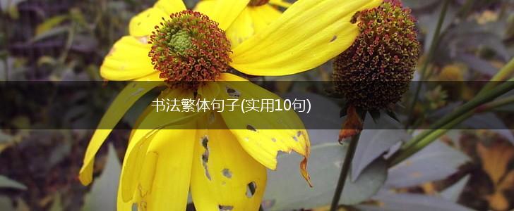 书法繁体句子(实用10句),第1张