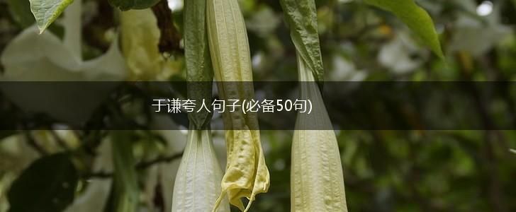 于谦夸人句子(必备50句),第1张