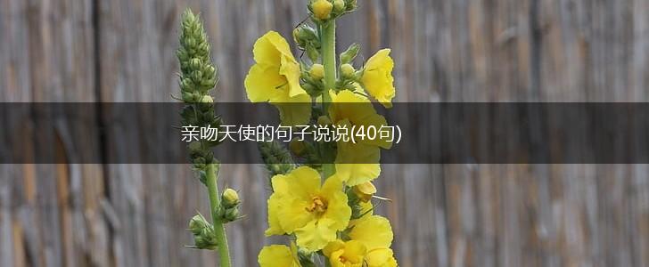 亲吻天使的句子说说(40句),第1张