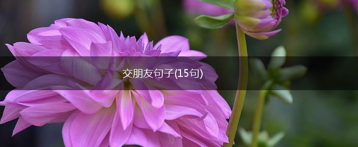 交朋友句子(15句),第1张