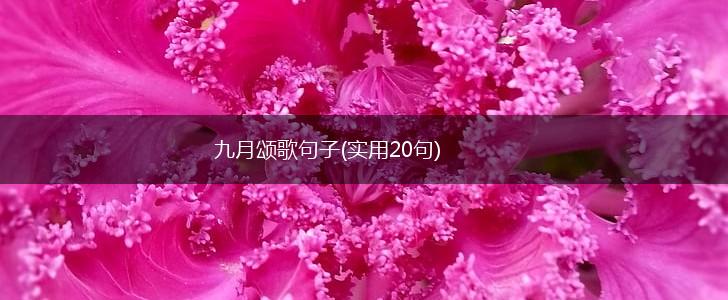 九月颂歌句子(实用20句),第1张