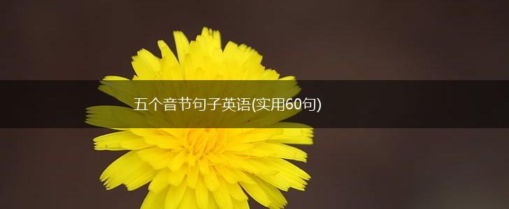 五个音节句子英语(实用60句),第1张