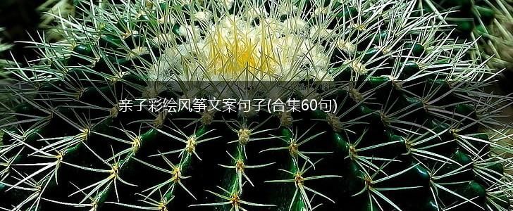 亲子彩绘风筝文案句子(合集60句),第1张