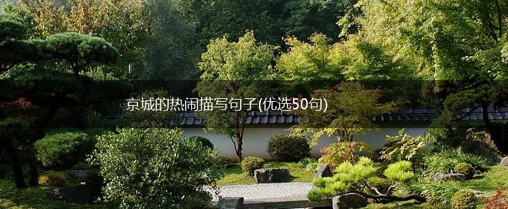 京城的热闹描写句子(优选50句),第1张