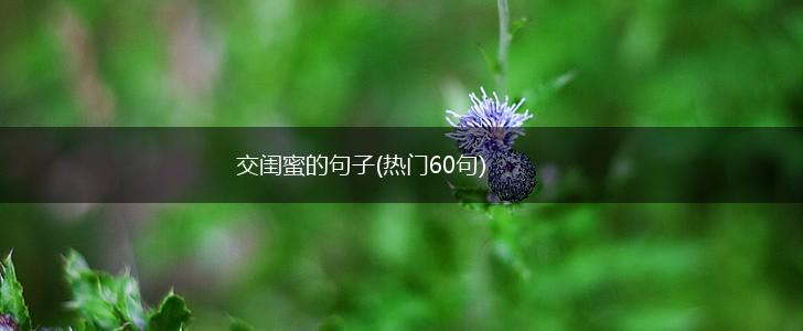 交闺蜜的句子(热门60句),第1张