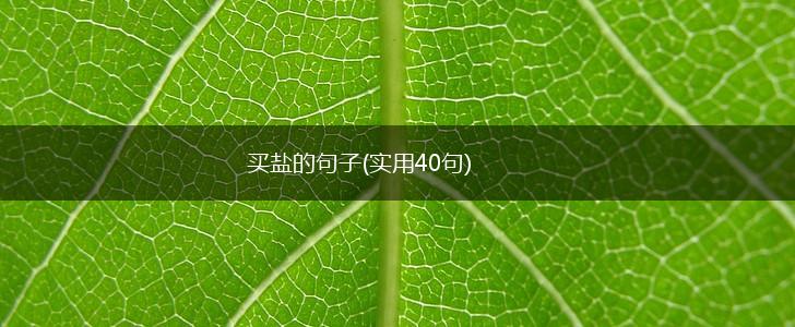 买盐的句子(实用40句),第1张