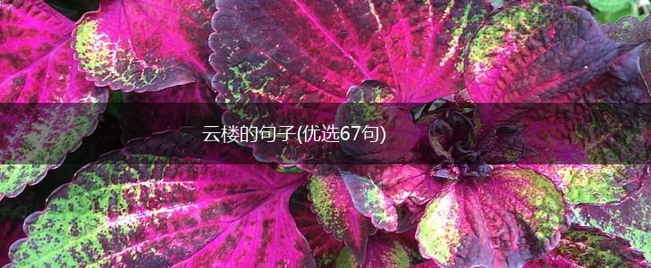 云楼的句子(优选67句),第1张
