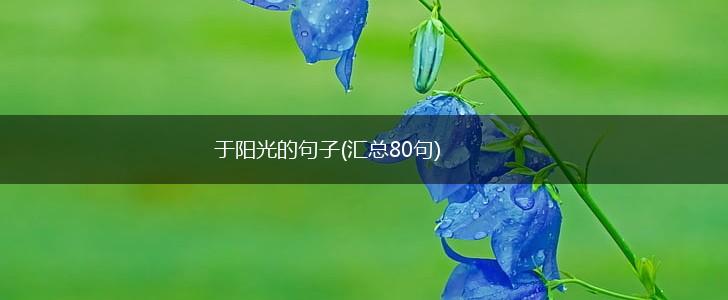 于阳光的句子(汇总80句),第1张