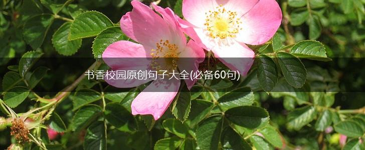 书香校园原创句子大全(必备60句),第1张