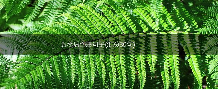 五零后伤感句子(汇总30句),第1张