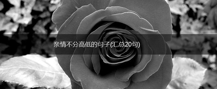亲情不分高低的句子(汇总20句),第1张