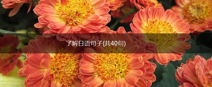 了解日语句子(共40句),第1张
