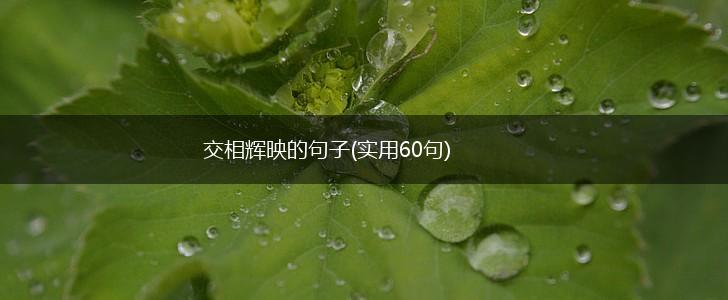 交相辉映的句子(实用60句),第1张