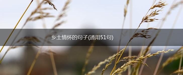 乡土情怀的句子(通用51句),第1张