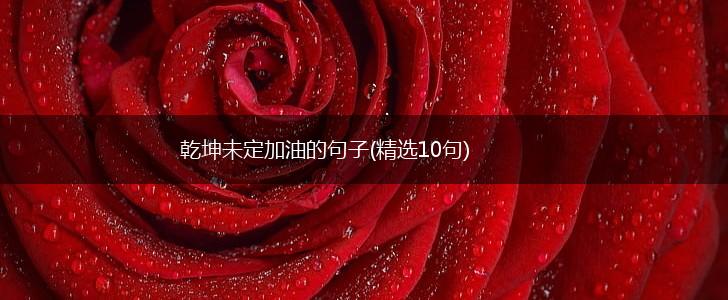 乾坤未定加油的句子(精选10句),第1张