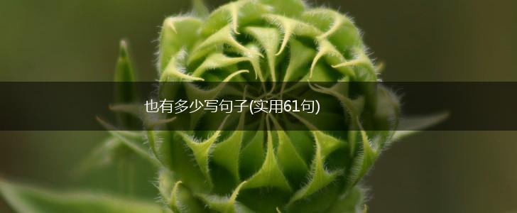 也有多少写句子(实用61句),第1张