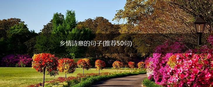 乡情诗意的句子(推荐50句),第1张
