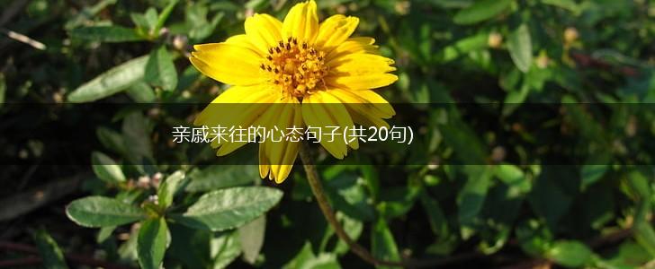 亲戚来往的心态句子(共20句),第1张