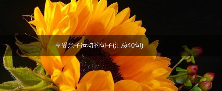 享受亲子运动的句子(汇总40句),第1张