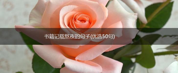 书籍记载熬夜的句子(优选50句),第1张