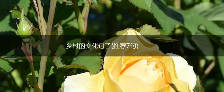 乡村的变化句子(推荐7句),第1张