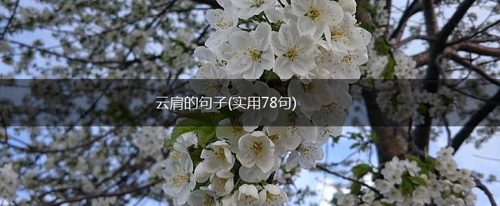 云肩的句子(实用78句),第1张