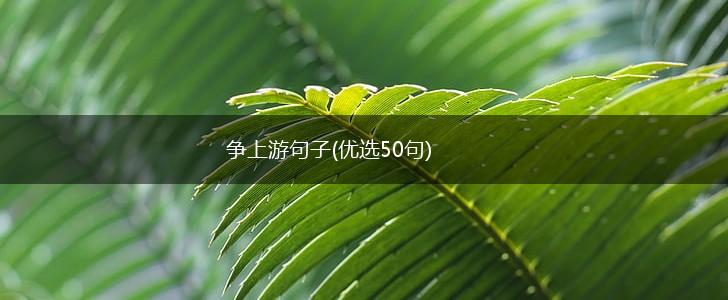 争上游句子(优选50句),第1张