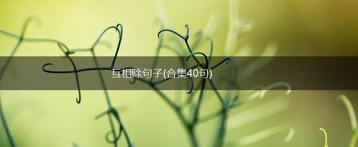 互相除句子(合集40句),第1张