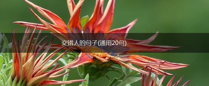交错人的句子(通用20句),第1张
