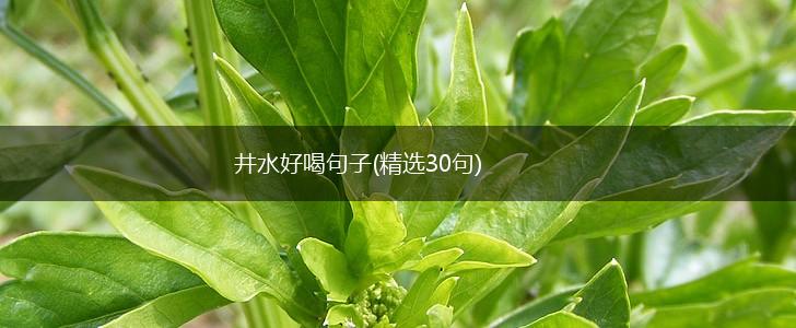 井水好喝句子(精选30句),第1张