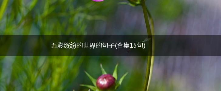 五彩缤纷的世界的句子(合集15句),第1张