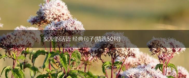 交友的话语 经典句子(精选50句),第1张