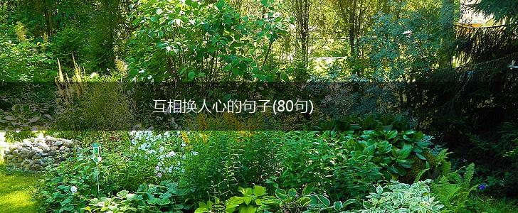 互相换人心的句子(80句),第1张