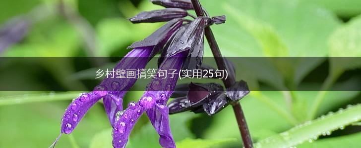 乡村壁画搞笑句子(实用25句),第1张