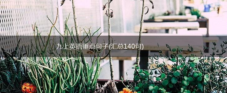 九上英语重点句子(汇总140句),第1张