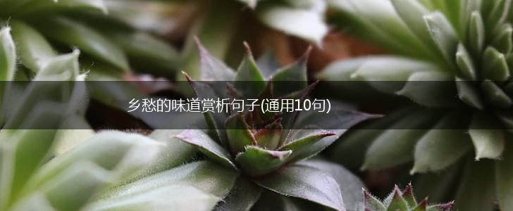 乡愁的味道赏析句子(通用10句),第1张