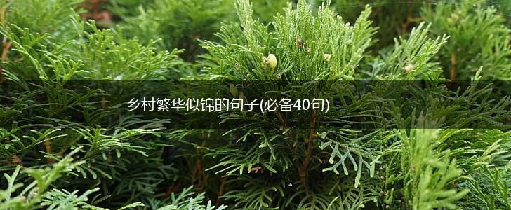 乡村繁华似锦的句子(必备40句),第1张